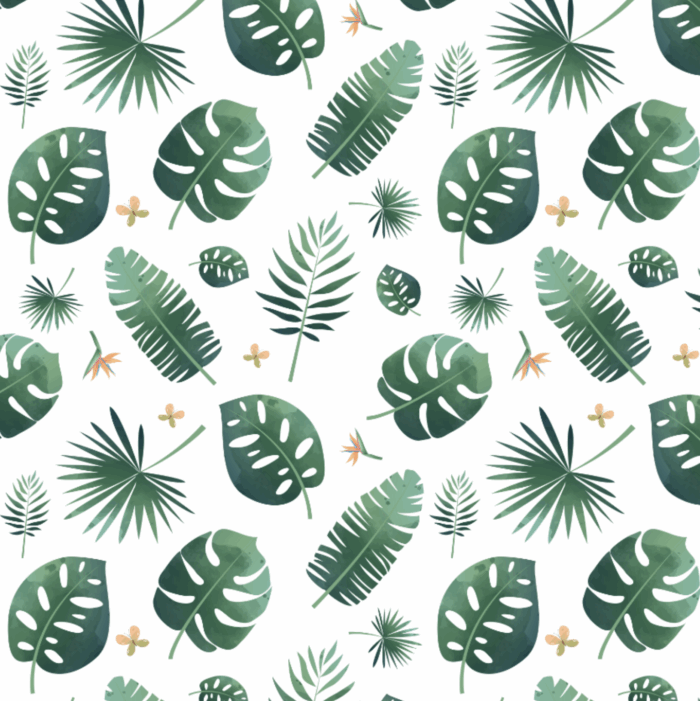 Tissu Exclusif Monstera Feuilles, 3 tailles et 11 tissus au choix