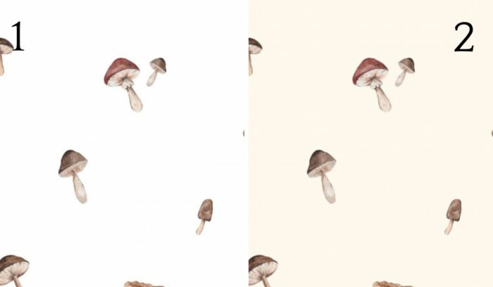 Tissu Imprimé Automne Champignons Minimaliste, 2 coloris et 11 tissus au choix – Image 4
