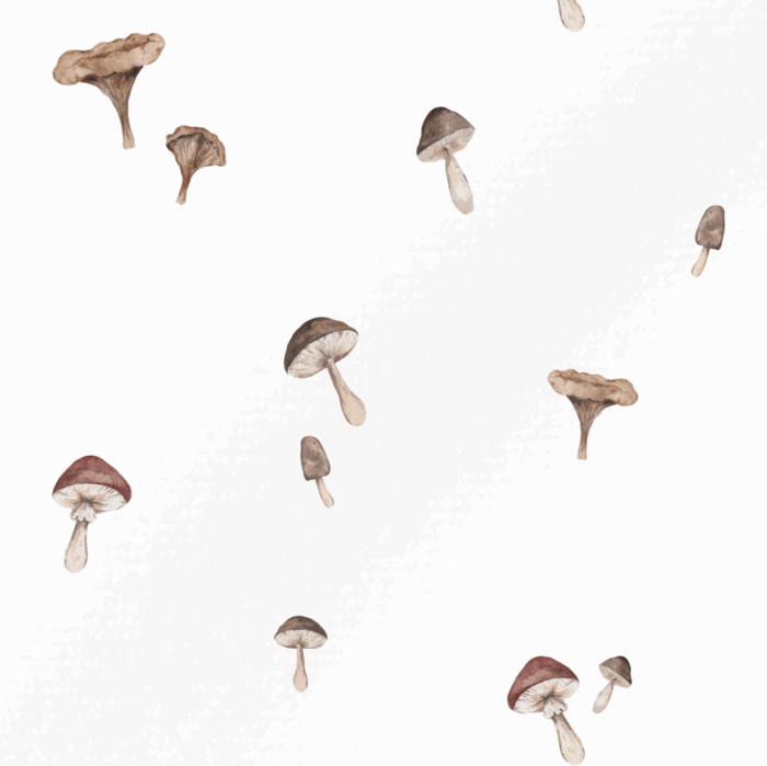Tissu Imprimé Automne Champignons Minimaliste, 2 coloris et 11 tissus au choix