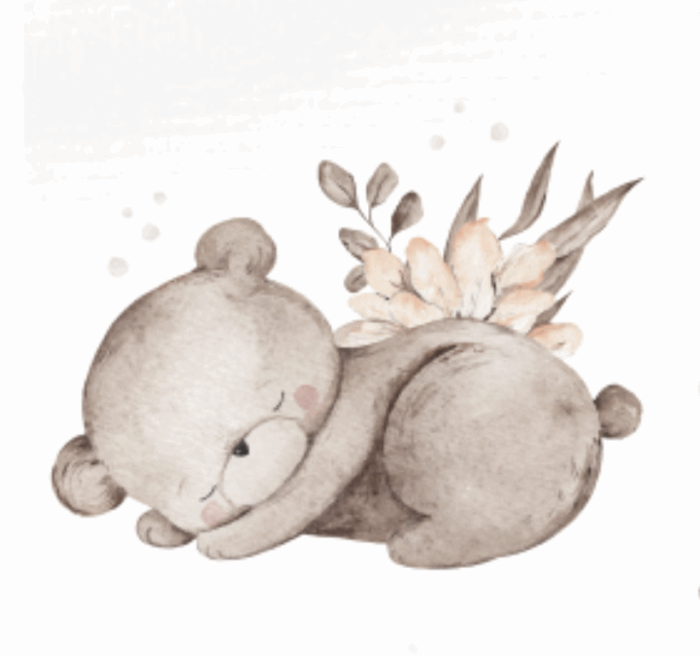 Motif Thermocollant pour tissus Ourson Mignon Dodo