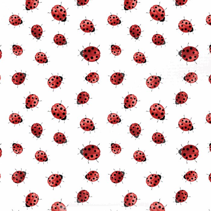 Tissu Imprimé Coccinelle Rouge Blanc, 10 tissus au choix