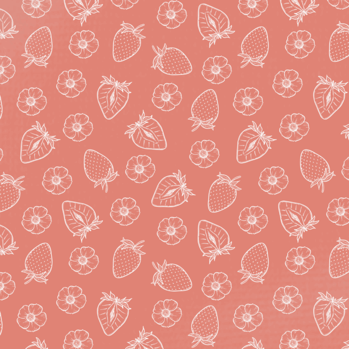 Tissu Imprimé Fraises Lineart, 10 tissus au choix
