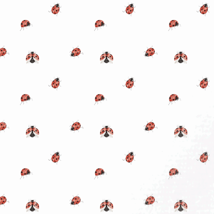 Tissu Imprimé Petite Coccinelle Blanc, 10 tissus au choix