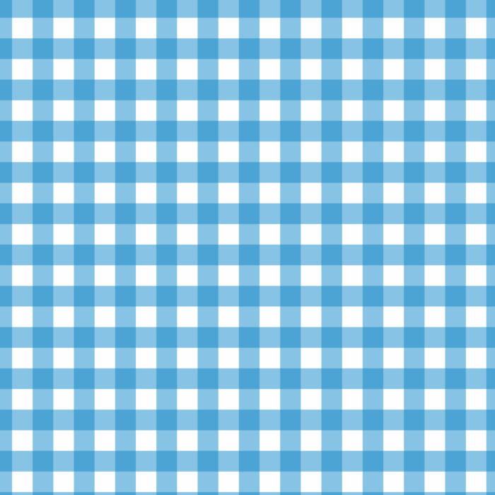 Tissu Imprimé Vichy 31 Bleu Maya, 10 tissus au choix