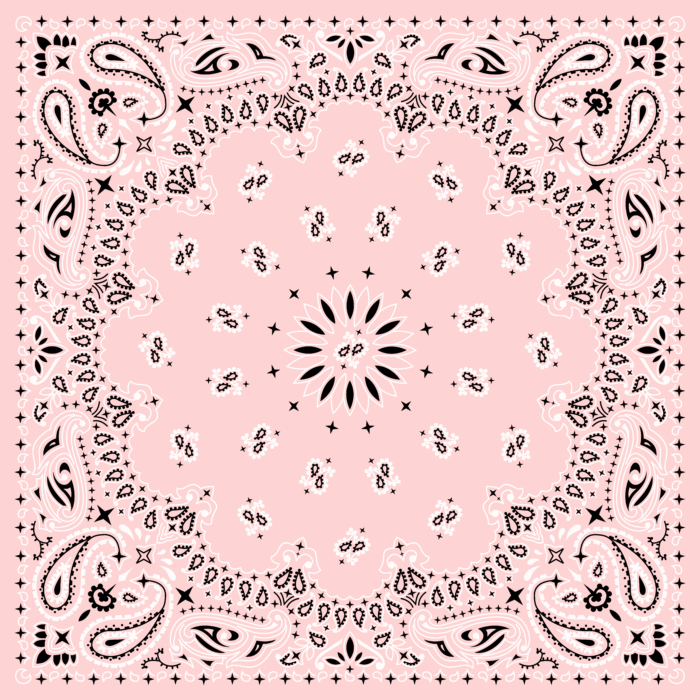 Tissu Imprimé Bandana Paisley 19 Rose Nude, 10 tissus au choix