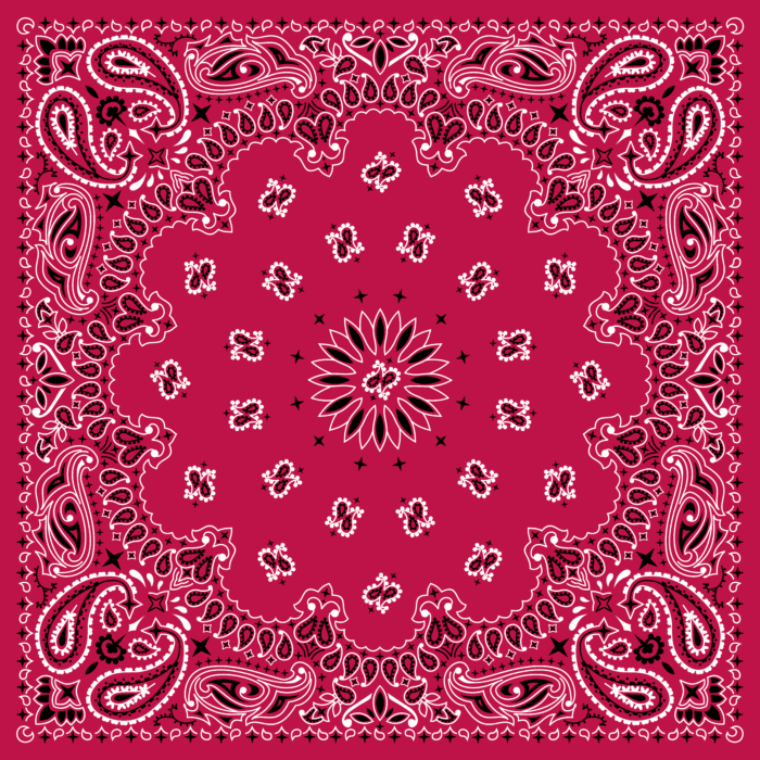 Tissu Imprimé Bandana Paisley 21 Grenade Carré, 10 tissus au choix