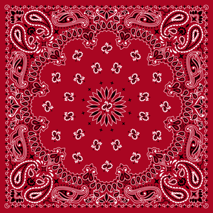 Tissu Imprimé Bandana Paisley 25 Rouge Foncé, 10 tissus au choix