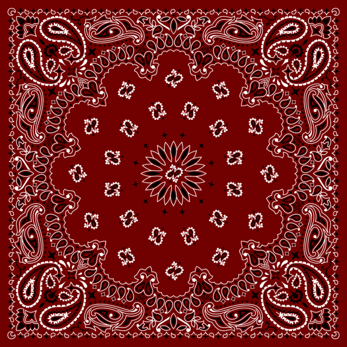 Tissu Imprimé Bandana Paisley 29 Brun Rouge, 10 tissus au choix