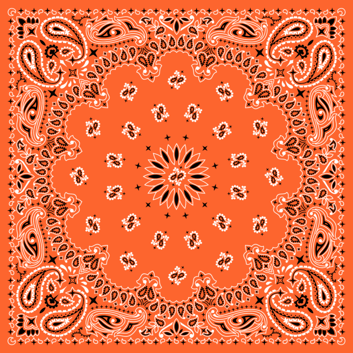 Tissu Imprimé Bandana Paisley 34 Clementine Carré, 10 tissus au choix