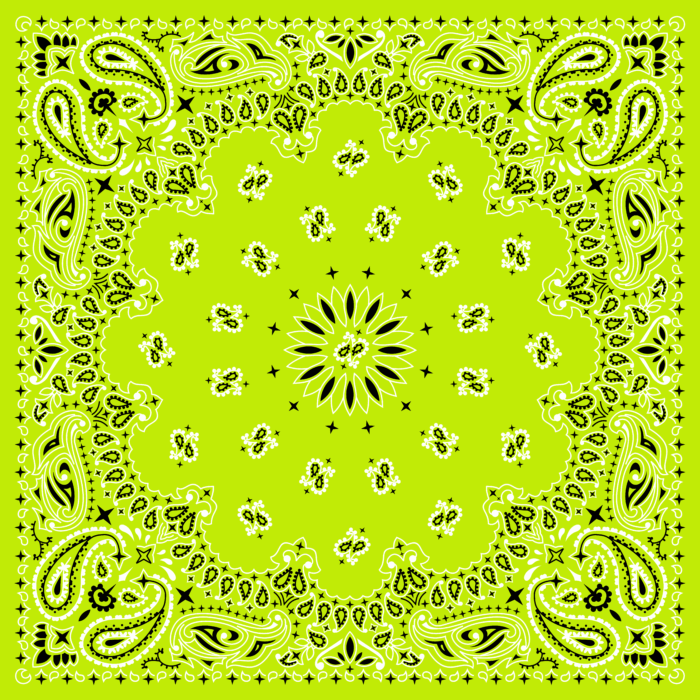 Tissu Imprimé Bandana Paisley 41 Vert Lime, 10 tissus au choix