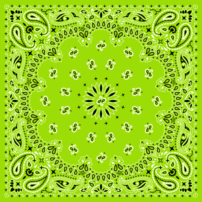 Tissu Imprimé Bandana Paisley 42 Vert Pomme, 10 tissus au choix