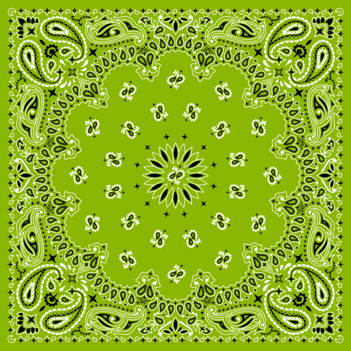 Tissu Imprimé Bandana Paisley 43 Vert Tilleul, 10 tissus au choix