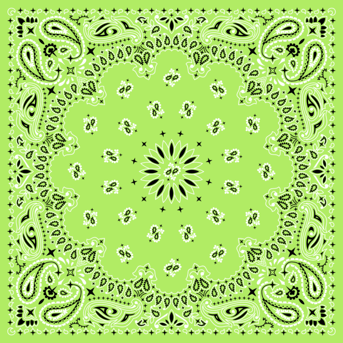 Tissu Imprimé Bandana Paisley 44 Vert Pistache, 10 tissus au choix