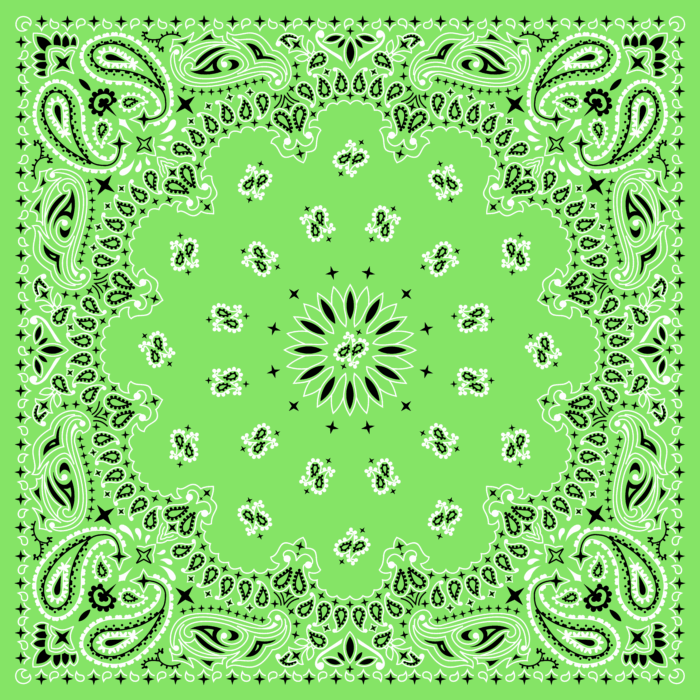 Tissu Imprimé Bandana Paisley 45 Vert Jade, 10 tissus au choix