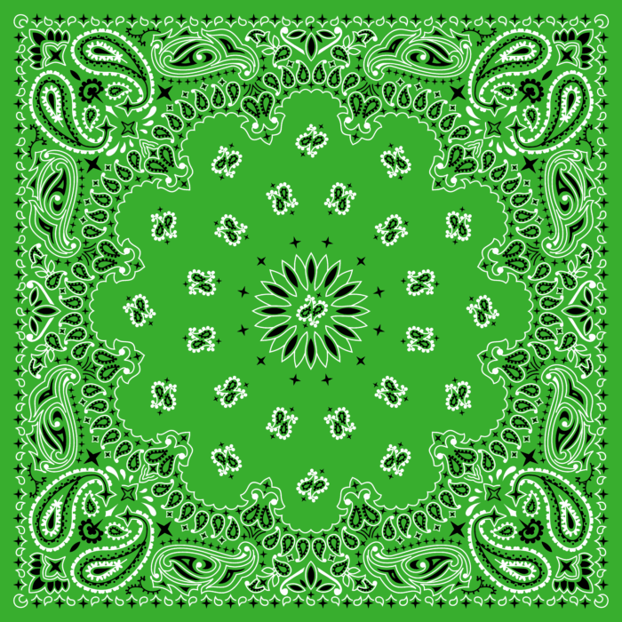 Tissu Imprimé Bandana Paisley 46 Vert Gazon, 10 tissus au choix