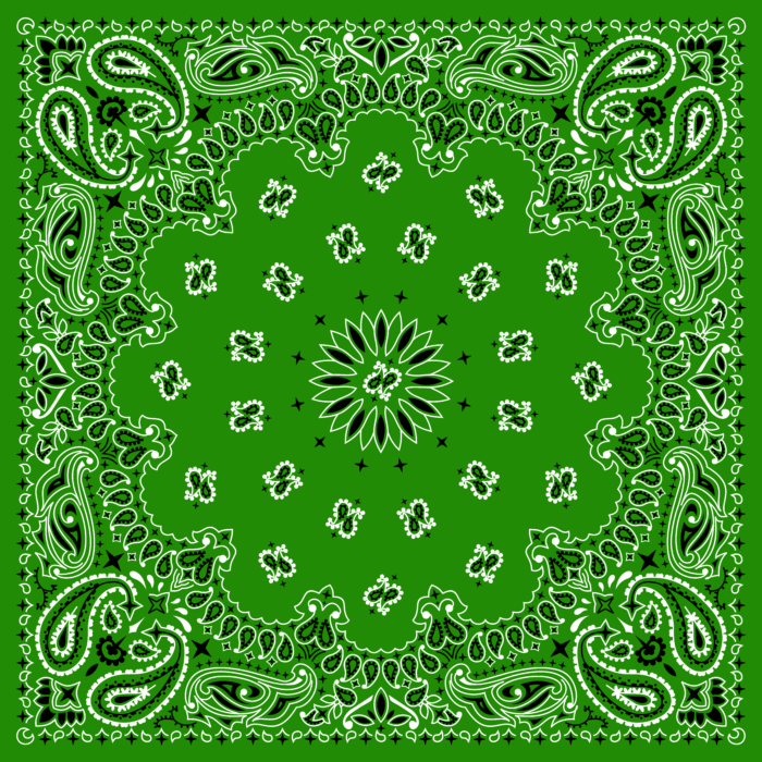 Tissu Imprimé Bandana Paisley 47 Vert Bouteille, 10 tissus au choix