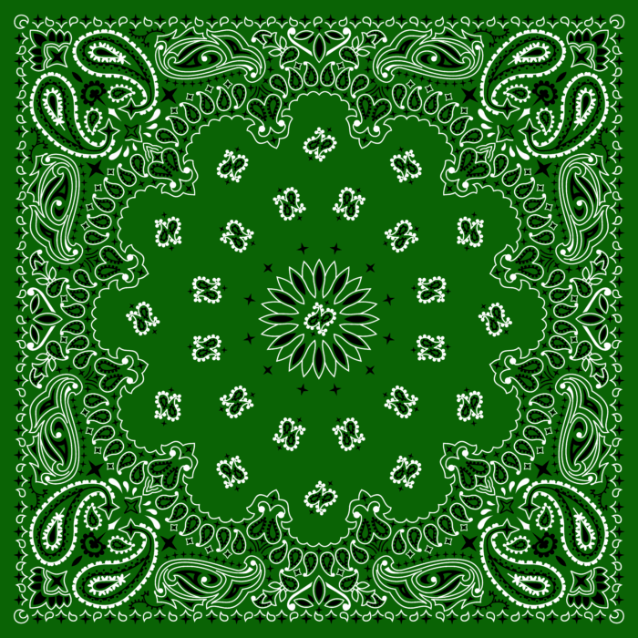 Tissu Imprimé Bandana Paisley 49 Vert Foret, 10 tissus au choix