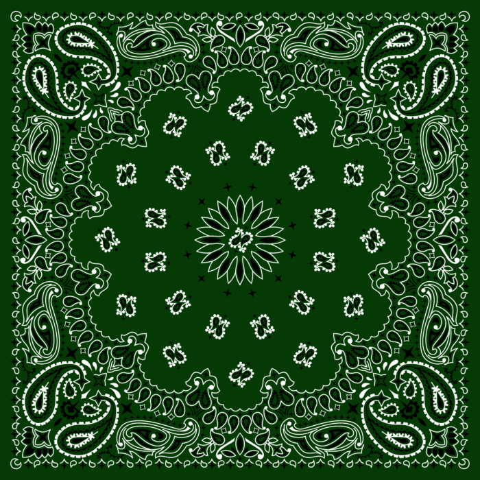 Tissu Imprimé Bandana Paisley 50 Vert Sapin, 10 tissus au choix