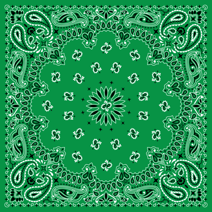 Tissu Imprimé Bandana Paisley 51 Vert Feuille, 10 tissus au choix