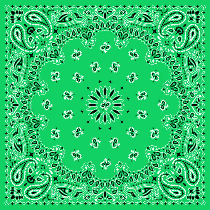 Tissu Imprimé Bandana Paisley 52 Vert Intense, 10 tissus au choix