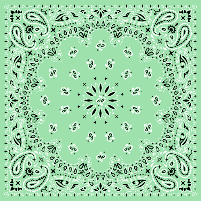 Tissu Imprimé Bandana Paisley 53 Vert Pastel, 10 tissus au choix