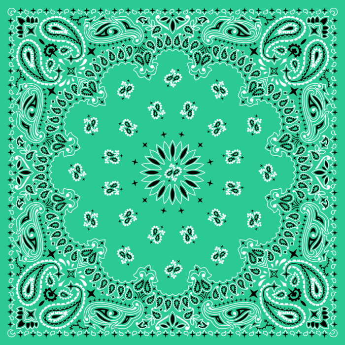 Tissu Imprimé Bandana Paisley 54 Vert d'Eau, 10 tissus au choix