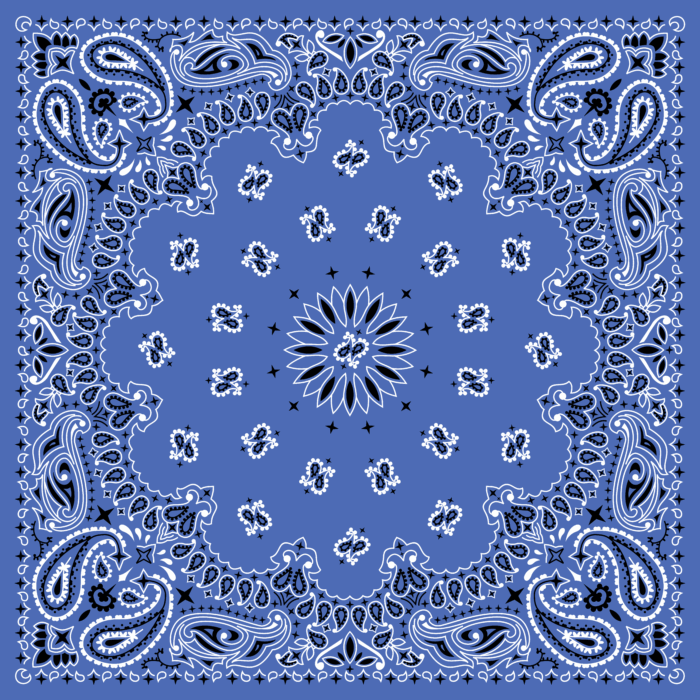 Tissu Imprimé Bandana Paisley 65 Bleu Jean, 10 tissus au choix