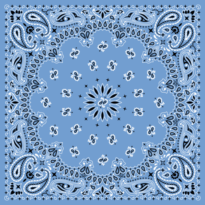 Tissu Imprimé Bandana Paisley 66 Bleu Bébé, 10 tissus au choix