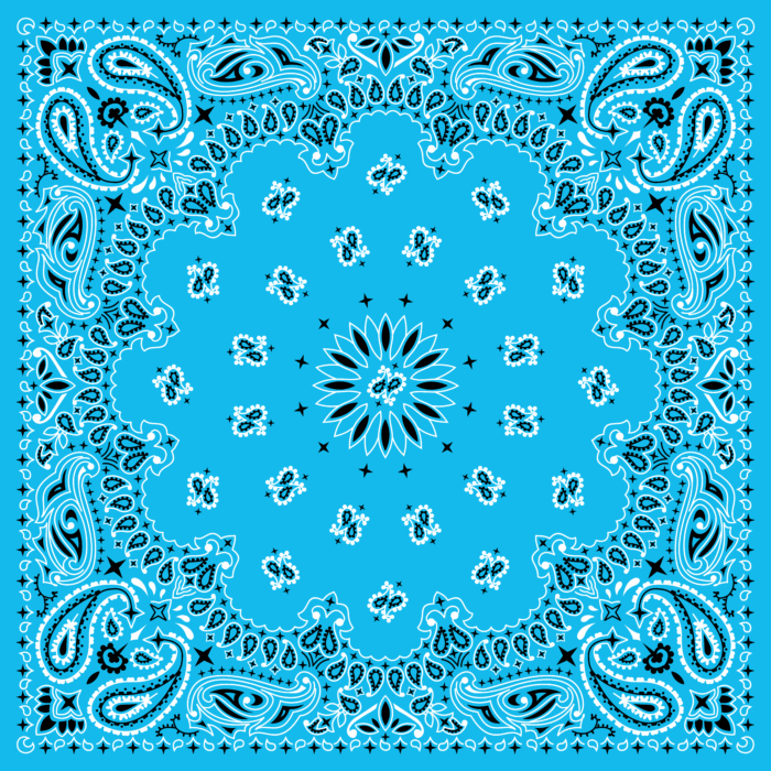 Tissu Imprimé Bandana Paisley 68 Bleu Ciel, 10 tissus au choix