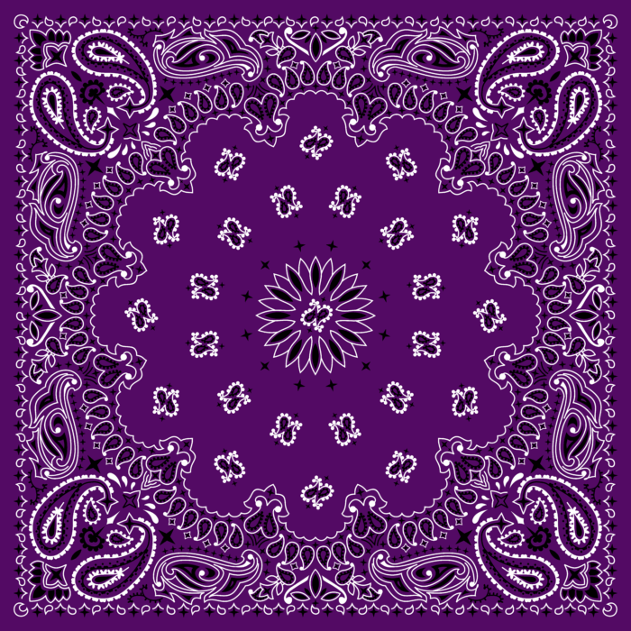 Tissu Imprimé Bandana Paisley 07 Myrtille, 10 tissus au choix