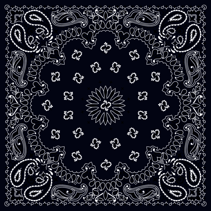 Tissu Imprimé Bandana Paisley 72 Noir, 10 tissus au choix