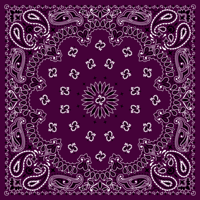 Tissu Imprimé Bandana Paisley 08 Aubergine, 10 tissus au choix