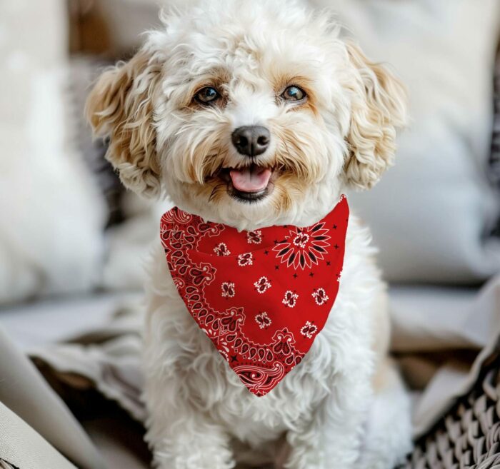 Tissu Imprimé Bandana Paisley 27 Rouge Carré, 10 tissus au choix – Image 3