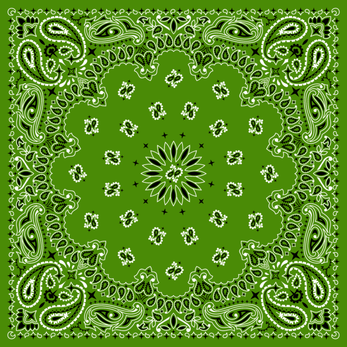 Tissu Imprimé Bandana Paisley 48 Vert Carré, 10 tissus au choix