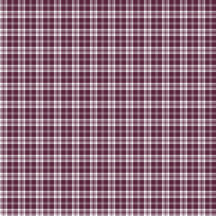 Tissu Imprimé Tartan Boho 55 Prune, 10 tissus au choix