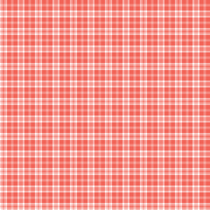 Tissu Imprimé Tartan Boho 38 Rouge Pasteque, 10 tissus au choix