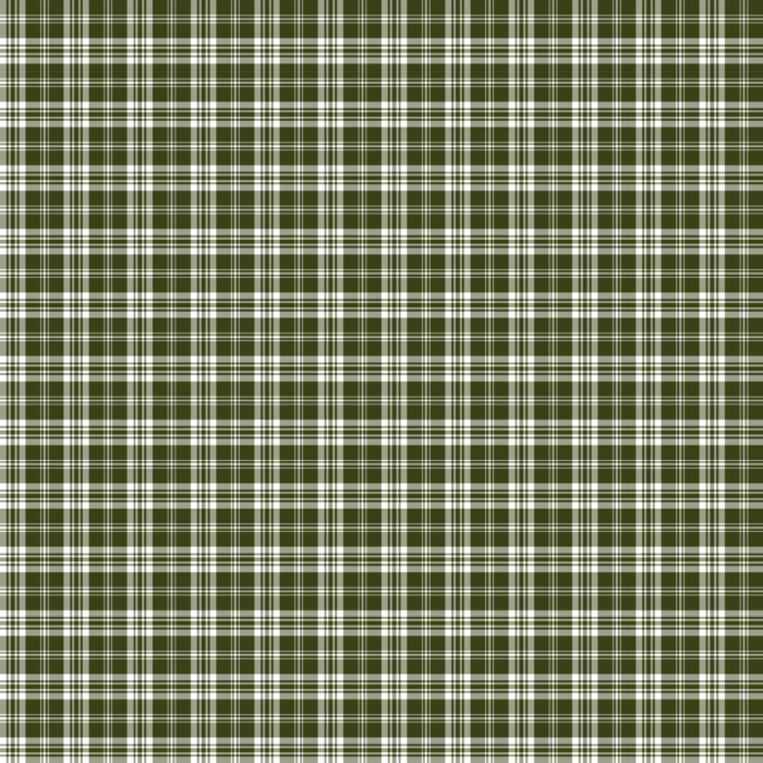 Tissu Imprimé Tartan Boho 02 Vert Foret, 10 tissus au choix