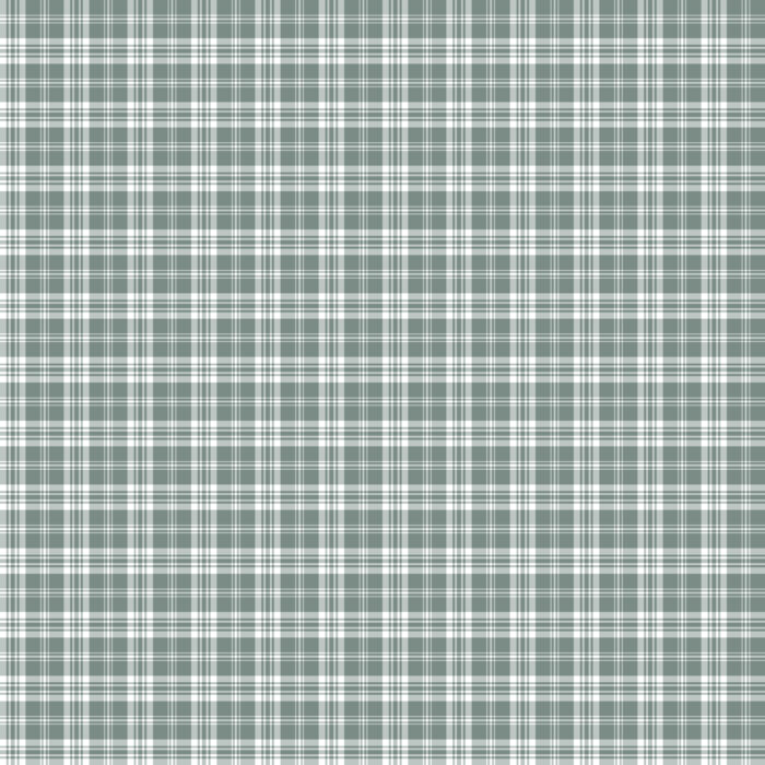 Tissu Imprimé Tartan Boho 06 Vert Gris, 10 tissus au choix