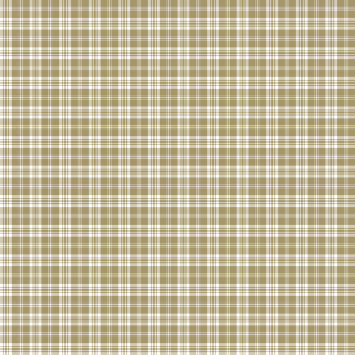 Tissu Imprimé Tartan Boho 07 Olive Pastel, 10 tissus au choix