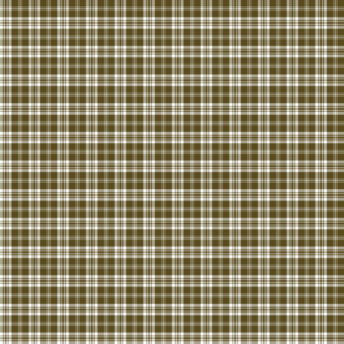 Tissu Imprimé Tartan Boho 03 Vert Olive, 10 tissus au choix