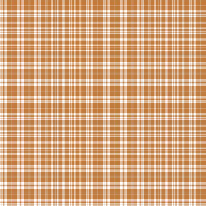 Tissu Imprimé Tartan Boho 25 Caramel, 10 tissus au choix