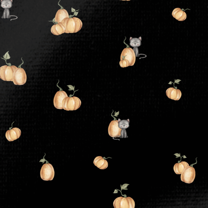 Tissu Imprimé Citrouille Chat Noir, 10 tissus au choix