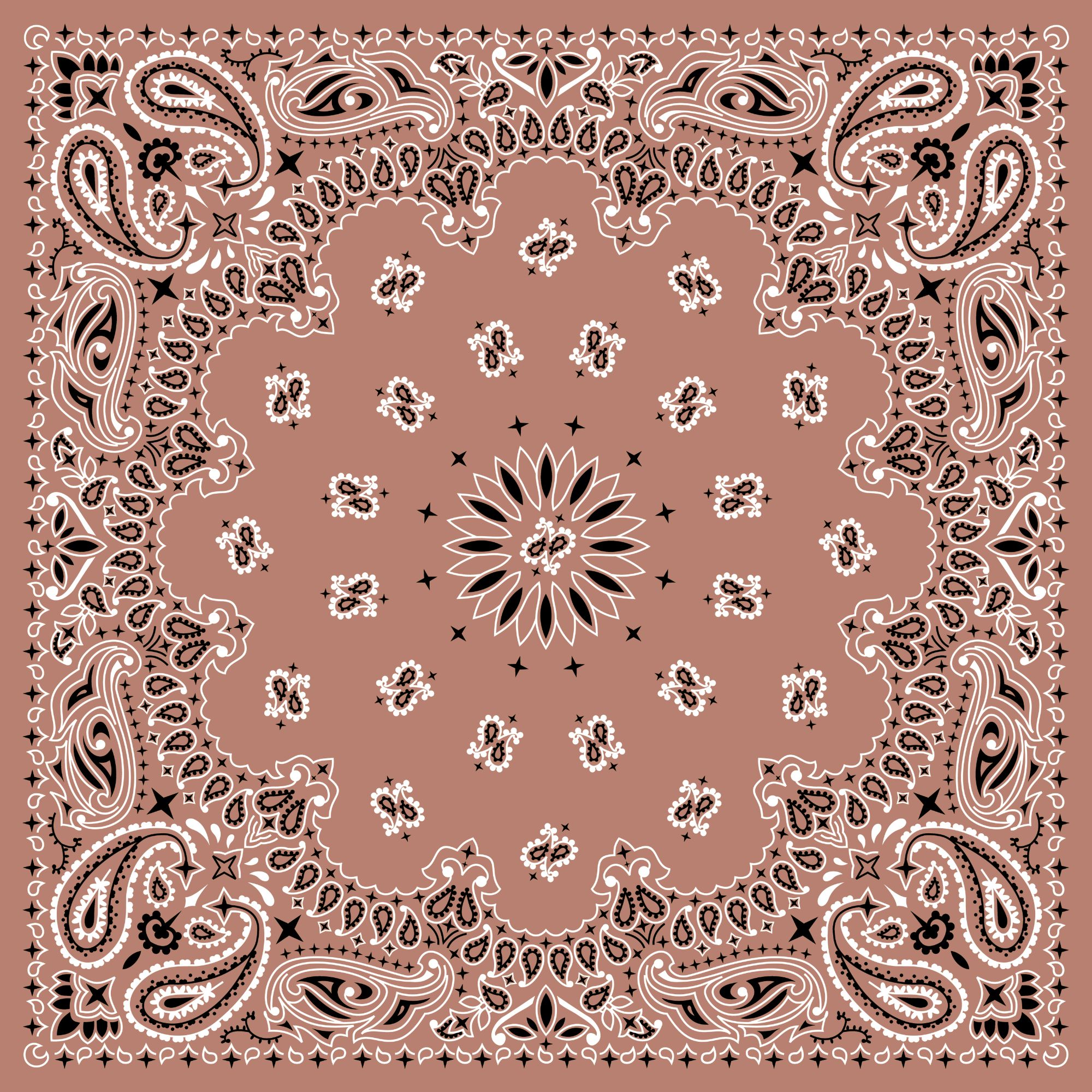 Tissu Imprimé Bandana Paisley 301A Marron Rosé, 11 tissus au choix